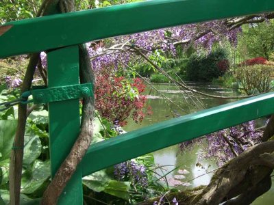 Jardin d'eau de Monet ©L'Agora des Arts