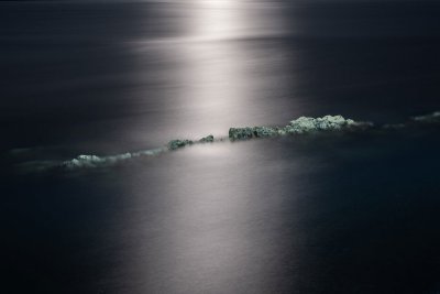 Insula