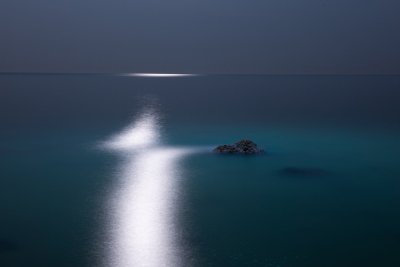 Insula