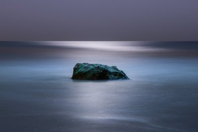 Insula